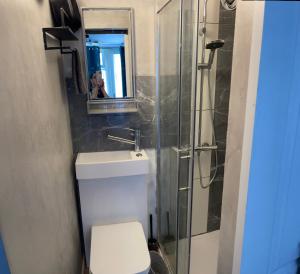 La salle de bains est pourvue de toilettes et d'une douche en verre. dans l'établissement Agnieszka Dabrowska, à Teversham