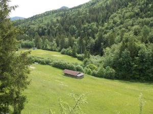 una pequeña cabaña en un campo de hierba en un bosque en Kleine einfache Ferienwohnung in malerischer Umgebung Salzburgs, en Koppl