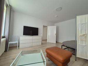 Et tv og/eller underholdning på Apartment Salzgitter - Ideal for long stays