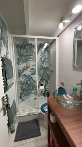 ein Bad mit einer Dusche, einem Waschbecken und einem WC in der Unterkunft Duplex spagiari in Nizza