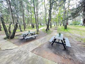 dwa stoły piknikowe w parku z drzewami w obiekcie Your Camp Hel w mieście Hel