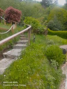 a set of stairs in a garden with grass at Casa vacanze Abetone in Pianosinatico +16 photos