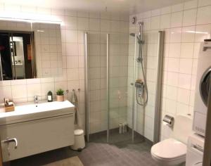 a bathroom with a shower and a sink and a toilet at Pen leilighet i Trondheim in Trondheim +4 photos
