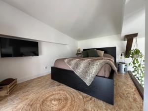 1 dormitorio con 1 cama y TV de pantalla plana en L'Orangerie en Clermont