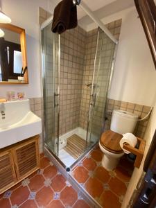 a bathroom with a shower and a toilet and a sink at Tabarca - El rincón de la Muralla in Tabarca +15 photos