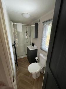 a small bathroom with a toilet and a sink at Luxe uitgerust vakantiehuis op de Veluwe in Hoenderloo