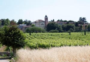 un campo de vides con una casa en el fondo en Casa Vacanze Mon Rêve, en Cavalcaselle