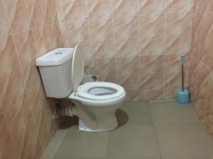 a bathroom with a white toilet in a room at Mega Pavilion Apartment And Suits Gwarinpa in Gwarinpa