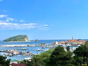 a group of boats docked in a harbor at Blue Marlin Apartments in Budva