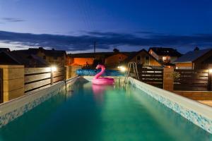 a swimming pool with a pink swan in the water at Apartamenty Maja in Tylicz