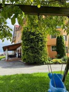 Zahrada ubytování Pension Marhof
