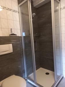 W łazience znajduje się prysznic ze szklanymi drzwiami. w obiekcie Haus Pinzger w mieście Fendels
