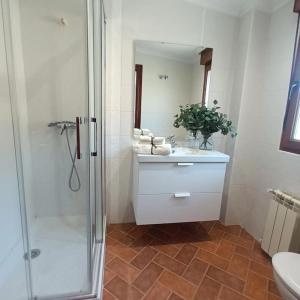 ein Badezimmer mit Dusche, Waschbecken und Toilette in der Unterkunft Casa en Treceño in Treceño