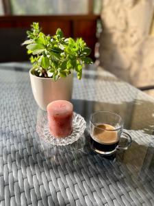 a cup of coffee and a potted plant on a table at LaBONI Apartman in Miskolctapolca +5 photos