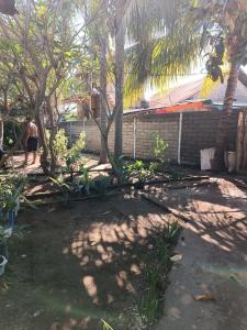 SOLLA_Homestay外面的花园