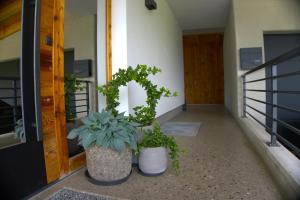 deux plantes en pot assises devant une porte dans l'établissement Ferienwohnung Gartner, à Uderns