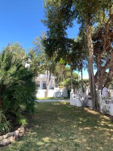 einen Hof mit Bäumen und einem weißen Zaun in der Unterkunft La Barrosa in Novo Sancti Petri