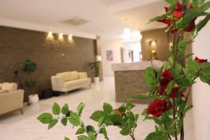 Fotografie z fotogalerie ubytování فندق المزوار v destinaci Houmt Souk