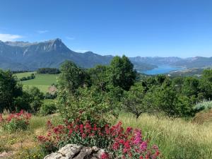 Příroda nedaleko apartmánu