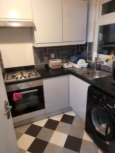 cocina con fogones, fregadero y lavavajillas en YouShelter, en Londres