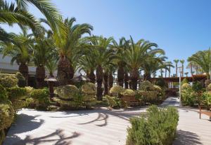 Um jardim em The GrandResort - Limited Edition by Leonardo Hotels