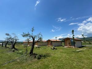 eine Gruppe von Gebäuden auf einem Feld mit Bäumen in der Unterkunft Fishta Guesthouse - Mrizi i Zanave in Fishtë