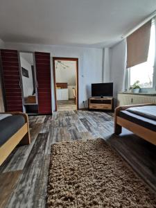 a room with two beds and a television and a rug at Haus Medaillon in Hamm