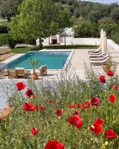 a swimming pool with red flowers in front of it at Quinta da Asneira in Montemor-o-Novo