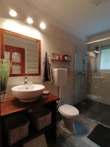 Gallery image of Apartment Tela in Kobarid