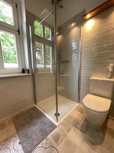 een badkamer met een douche en een toilet bij Ferienwohnungen an der Stadtvilla Rheinsberg in Rheinsberg