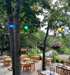 een patio met tafels en stoelen en bomen met verlichting bij Бунгала Виктория - Камчия in Kamchia