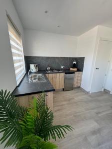 a kitchen with a sink and a counter top at Casa Duseña Luna in Hondón de las Nieves
