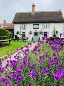 a cottage with purple flowers in front of it at The Kingsdon Inn in Kingsdon