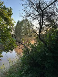 a view of a river with trees in the foreground at Labieši in Jūrmala
