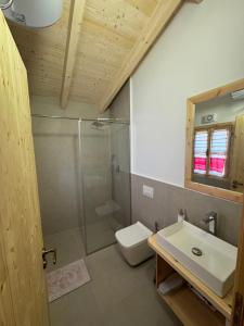 ein Bad mit einer Dusche, einem WC und einem Waschbecken in der Unterkunft Fishta Guesthouse - Mrizi i Zanave in Fishtë