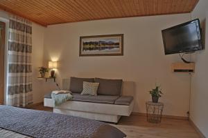 een woonkamer met een bank en een flatscreen-tv bij Apartment Alpenwelt in Neustift im Stubaital