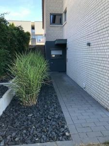 a door to a building with a sidewalk and plants at Ferienwohnung 60 m mit hervorragender Aussicht in Talheim