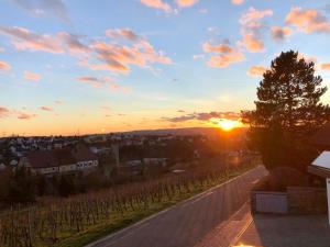 a sunset over a road with a vineyard at Ferienwohnung 60 m mit hervorragender Aussicht in Talheim