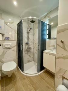 uma casa de banho com um chuveiro, um WC e um lavatório. em Chatka Dziadka Sudety em Stary Gieraltow
