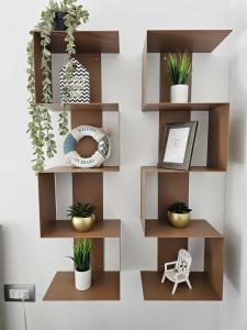 a wall with wooden shelves with potted plants at Grey House 4 100mt dal mare in Tortoreto Lido
