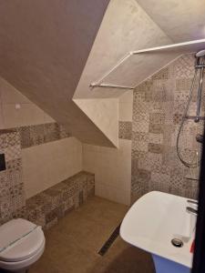 een badkamer met een toilet en een wastafel bij Vila Karina Beachfront Vama Veche in Vama Veche