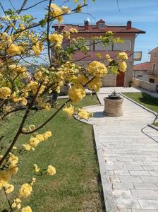 un árbol con flores amarillas en un patio en Villa Istonia en Cupello
