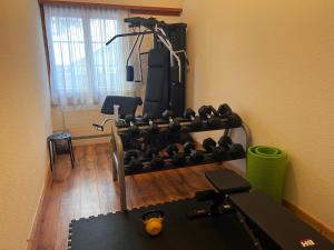 Palestra o centro fitness di Hôtel Chalet Royal