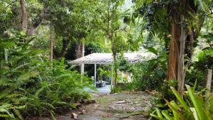 Zahrada ubytování El Yunque Glamping River View at Casa Parcha