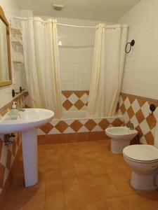 y baño con lavabo, aseo y ducha. en Caserío de Vazquez 5, en Castilblanco de los Arroyos