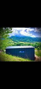 莱斯诺夫The Tiny House的田野中央的一座蓝色大楼