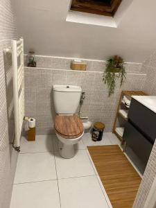 a bathroom with a toilet with a wooden seat at Charmante maison à Troyes avec terrasse et jardin clôturé in Troyes