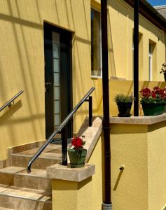 蒂米什瓦拉的住宿－Apartament Victoria，楼梯上有三棵盆栽植物的黄色建筑