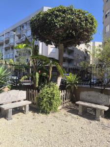 two benches in front of a fence with a tree at Playa, piscina, terraza, parking in Santa Pola +29 photos