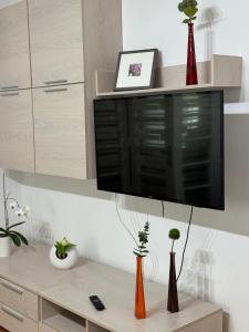 TV i/ili multimedijalni sistem u objektu Apartament Victoria